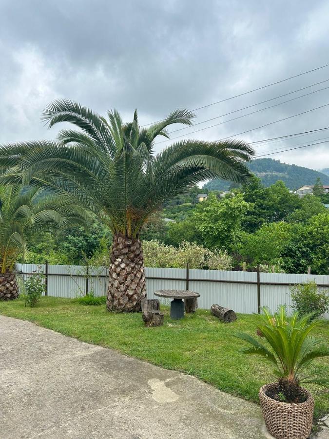 Guesthouse On Topchan 17 New Athos 외부 사진